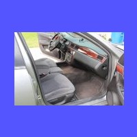 Impala2006-03_web.jpg
